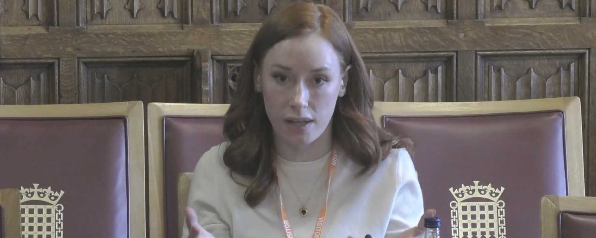 Screenshot of Hannah Fry presenting to Numeracy for Life committee