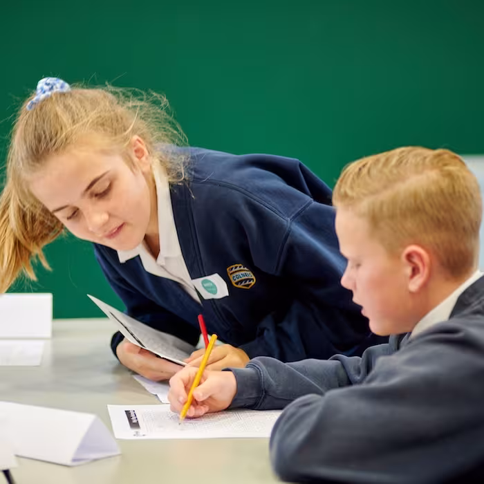 Boy and girl studying